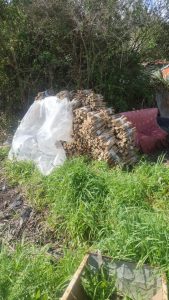 Leña acondicionada hurtada desde el interior del predio del Parque Salus