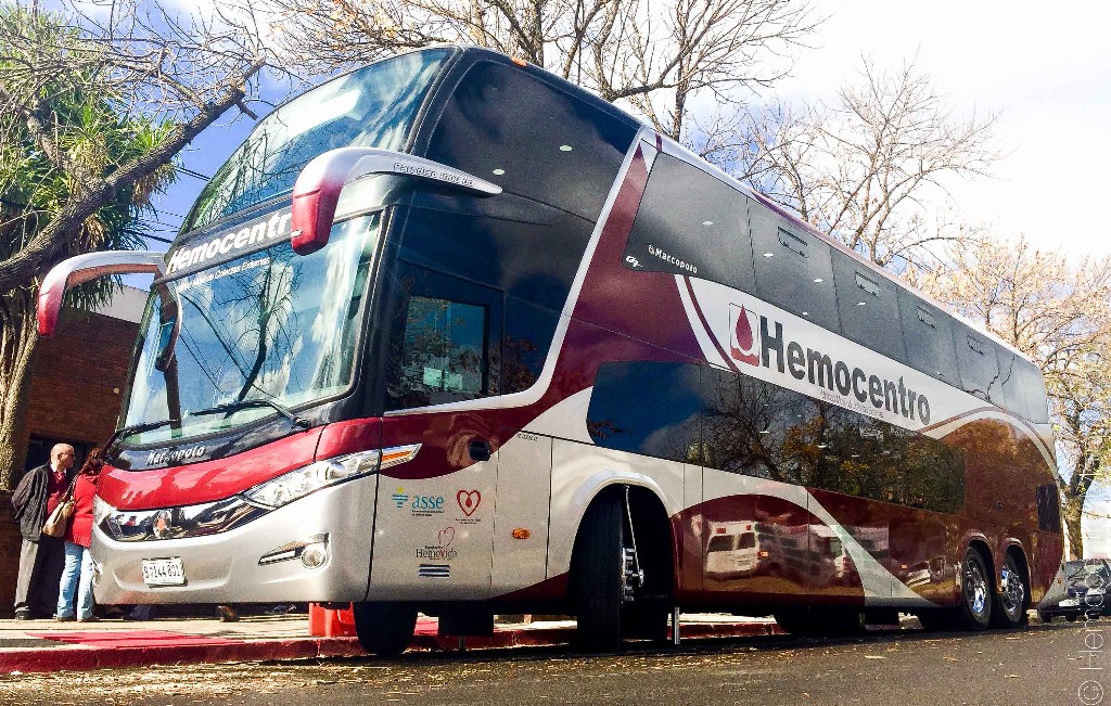hemobus 1