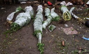 Allanamiento en Cerro Partido por SGSP 16833736 lesiones graves a adolescente 2