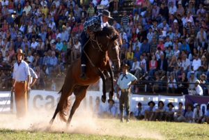 Comenzó la Semana Criolla en el Parque Roosevelt y la Agrupación Criolla Santiago Chalar está presente 3