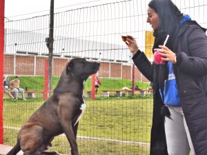 Foto del día - 23-5