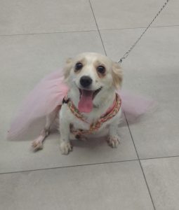 Foto del día 8-5-2023