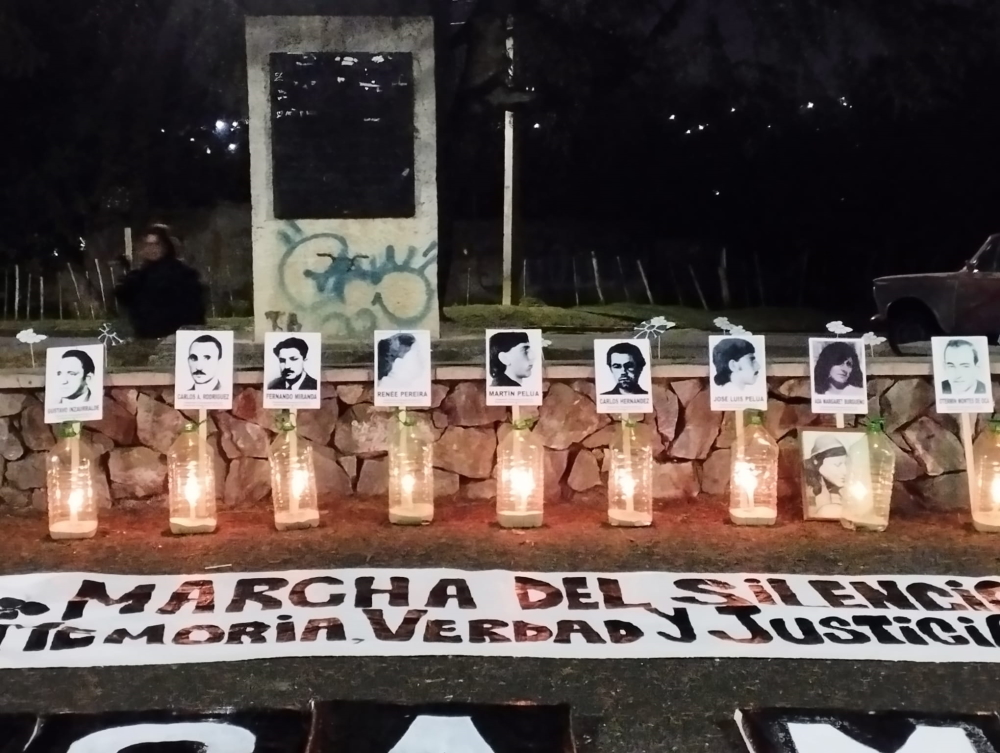 Un campo de margaritas (2)