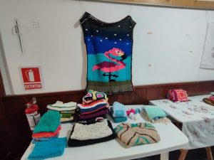 Arañitas Unidas 5