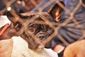 Foto del día - 19-7