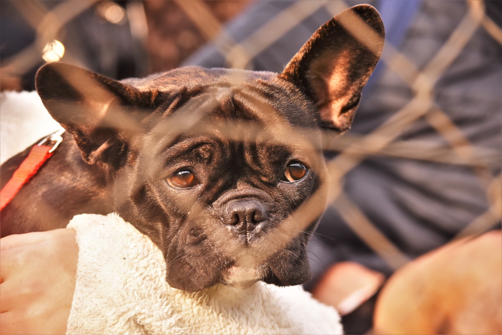 Foto del día - 19-7