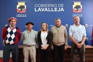 Cuarta marchita de caballos criollos (1)