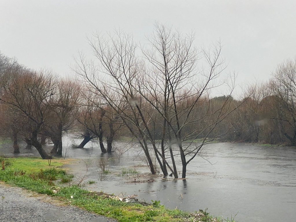 Granizo, mucha agua y daños en diferentes propiedades fue el saldo de una madrugada de locura en Minas 2