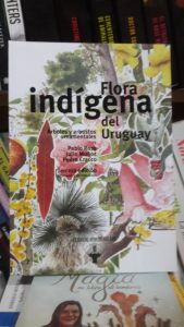 Recomendaciones de Ro.Ma.Ca. Libros