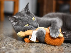 DSC_9878 (1)