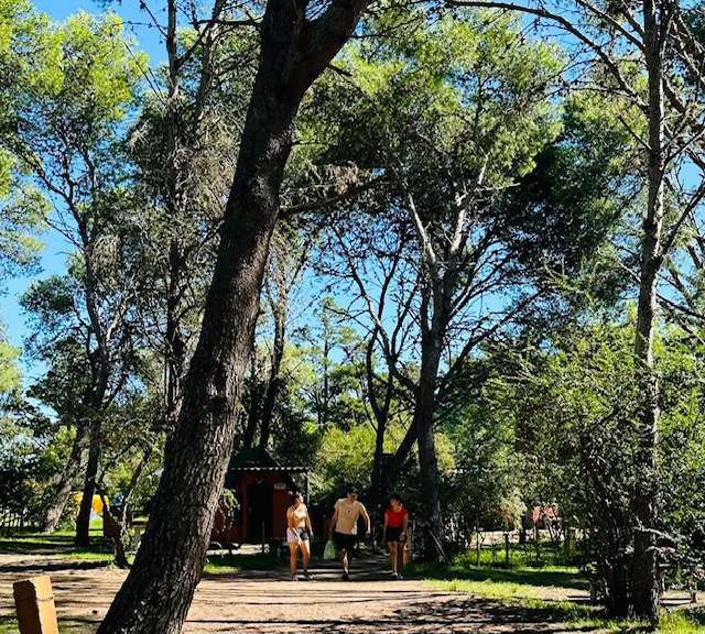 Camping Arequita con ocupación al 100% en cabañas (6)