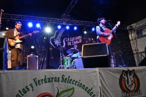 Más participantes que años anteriores en el concurso de la Guitarra de Chalar (4)