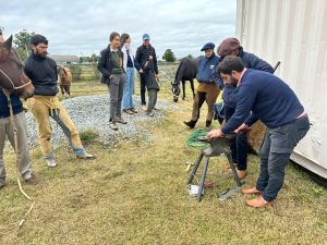 El Grupo Agrario de Jóvenes Crear realizó curso sobre herrado (1)
