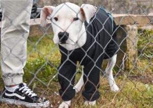 Foto del día - 24-5