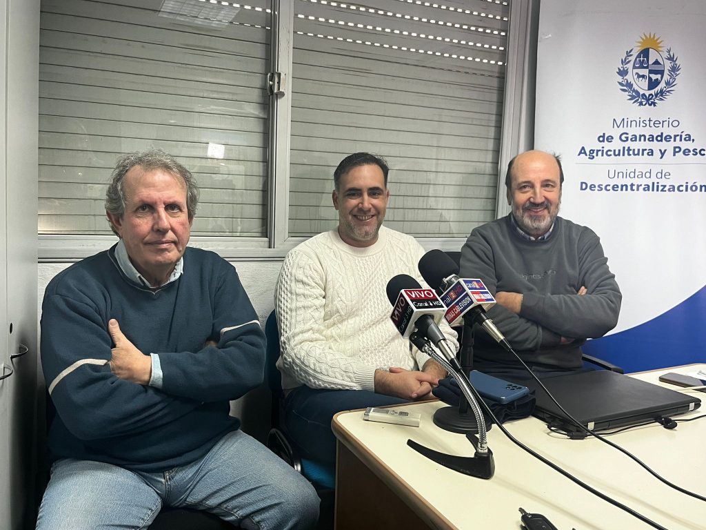 Presentación de la Declaración Jurada Anual de DICOSE (2)