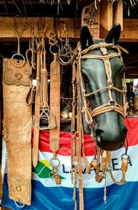 Lavalleja sigue obteniendo premios en Guasquería en concursos nacionales e internacionales (4)