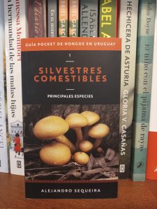 Recomendaciones de Ro.Ma.Ca. Libros