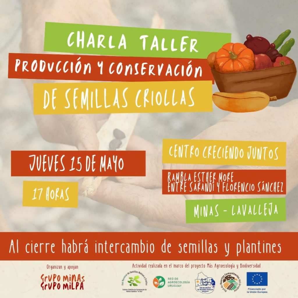 Taller sobre producción y conservación de semillas criollas en Creciendo Juntos (1)