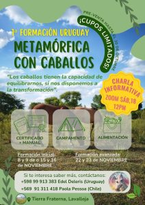 metamórfica con caballos