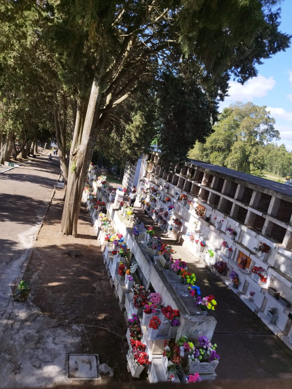 2 de noviembre 2025 - 2