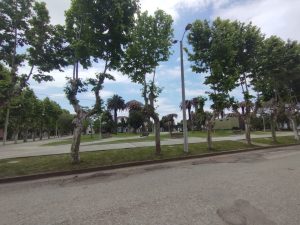 IDL desarrolla un plan integral de combate al picudo rojo