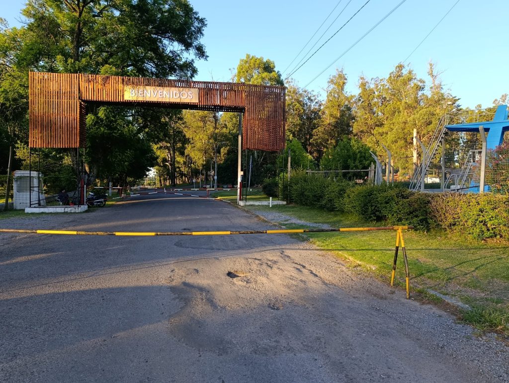 IDL cerró parte del Parque Rodó por caída de un árbol - 2