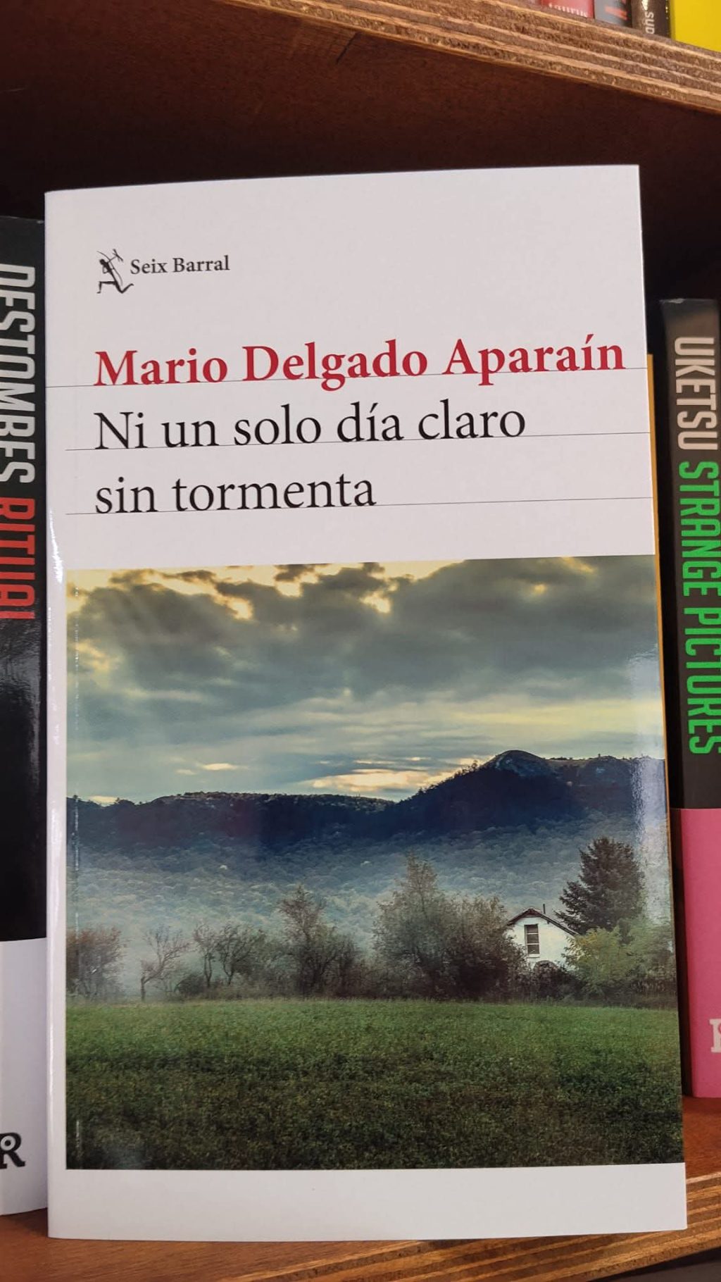 Mario Delgado Aparain